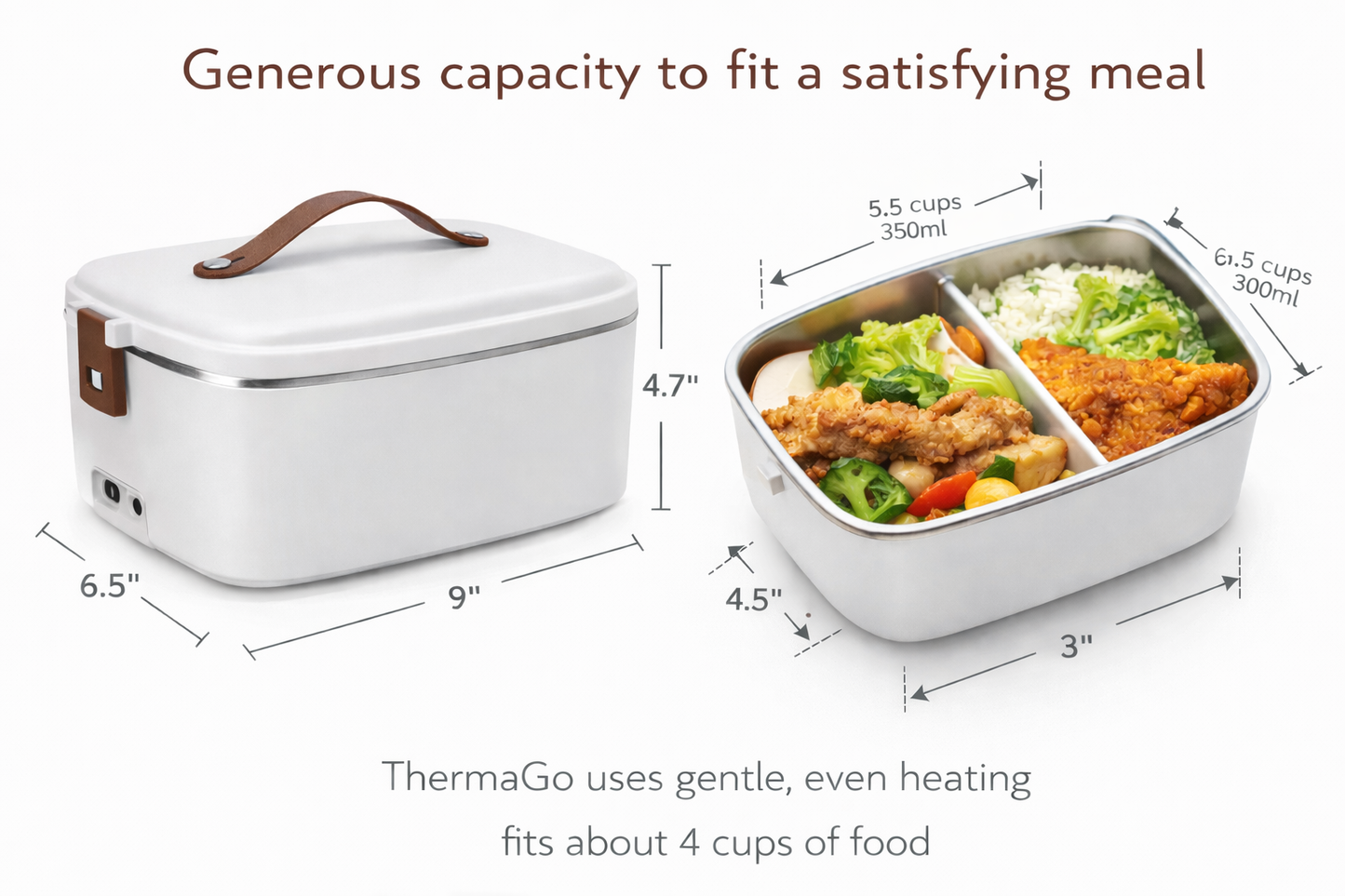 ThermaGo Portable Heated Lunch Box